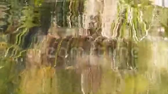河马浮出水面视频的预览图