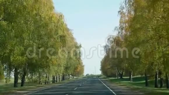白俄罗斯树木之间汽车行驶的秋路视频的预览图
