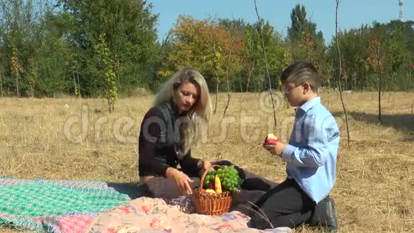 妈妈和儿子在野餐视频的预览图