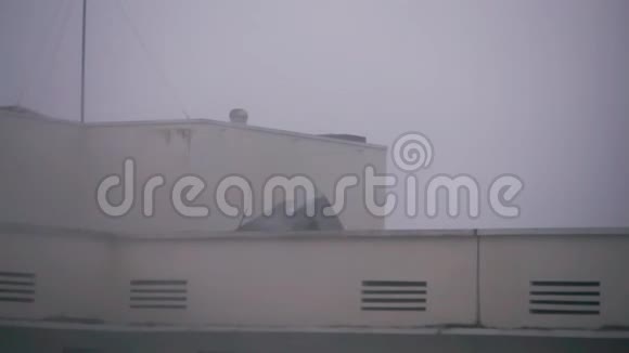 飓风达美期间屋顶覆盖在大楼外视频的预览图