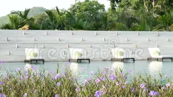 视频游泳池附近的躺椅自然绿树背景前景美丽的花朵波浪状的水视频的预览图