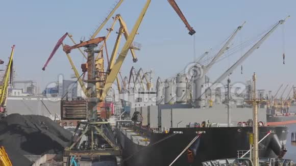 较大的起重机在港口起重机装载散装材料海港起重机的工作视频的预览图
