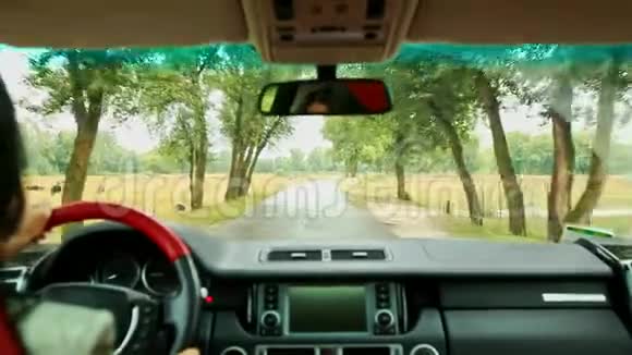 女司机在雨中沿农村湿路驾驶外国汽车视频的预览图