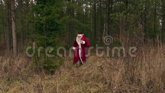 从树林里出来的圣诞老人视频的预览图