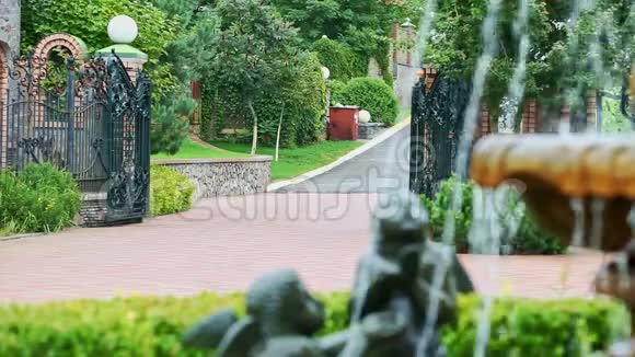 庭院中的喷泉流和植物雕塑视频的预览图