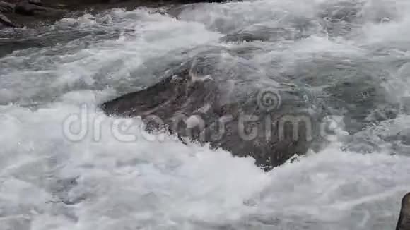 近距离拍摄水小溪水流着岩石缓慢地流动着视频的预览图