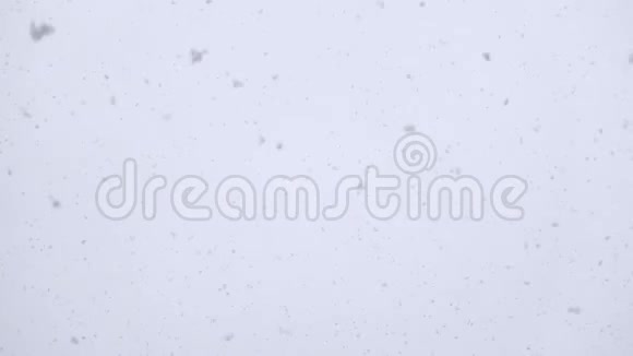 降雪雪花实时飞舞4k视频的预览图