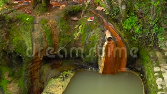 巴厘岛的一个小温泉视频的预览图