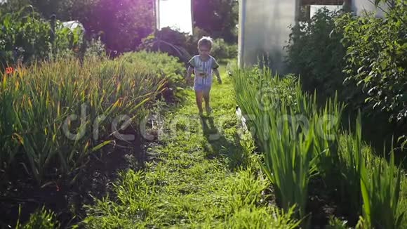 一个孩子赤脚跑过草坪户外乐趣视频的预览图