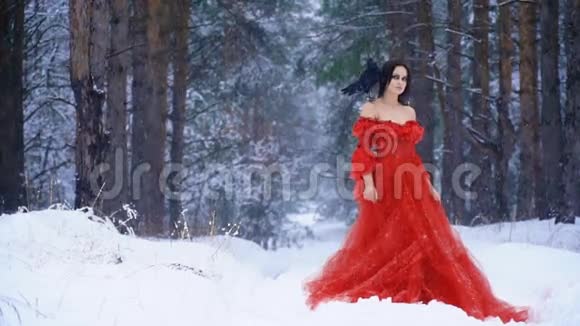 一个皮肤苍白的漂亮女人穿着一件红色连衣裙肩膀上戴着一只乌鸦视频的预览图