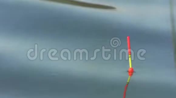 捕鱼时水面浮子的特写视频的预览图