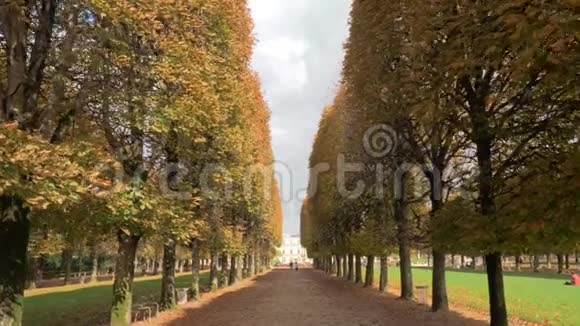在卢森堡花园里树木两旁长廊的秋天景象法国巴黎视频的预览图
