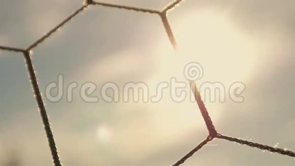 日落时分的足球进球网视频的预览图