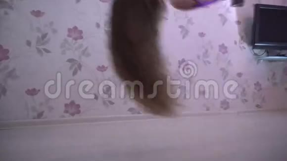 穿紫色裤腿的女性赤脚在家视频的预览图