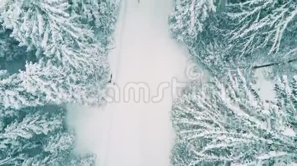 一个人在雪地森林里徒步旅行的空中镜头视频的预览图