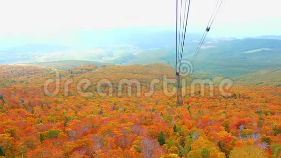 秋季客家山森林的自然色彩视频的预览图