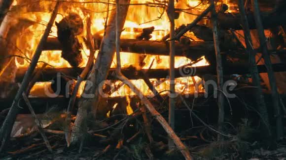 冒烟的树木用水扑灭消防员森林火灾视频的预览图