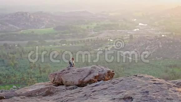 小猴子坐在高岩对日落谷视频的预览图