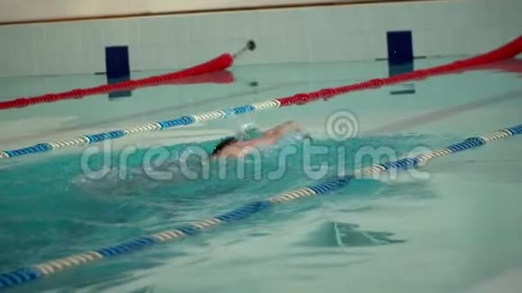 男运动员在游泳池里游泳视频的预览图