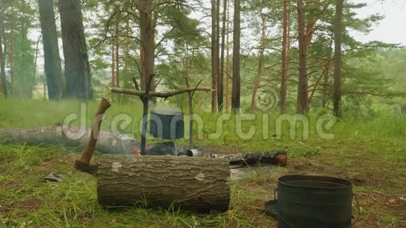 大锅在森林里着火了视频的预览图