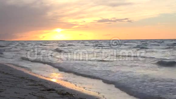 加勒比海或古巴热带海滩傍晚日落视频的预览图