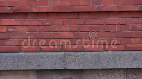 老橙色砖墙砖墙砖石纹理砖制图案背景视频的预览图