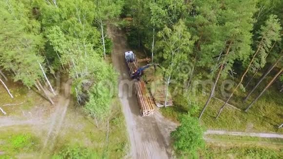 砍伐森林液压装载机叉车将原木装载到拖车上在森林里把木材或木材装进卡车视频的预览图