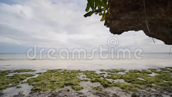波霍尔岛海岸上的花藻菲律宾晚上的时间视频的预览图