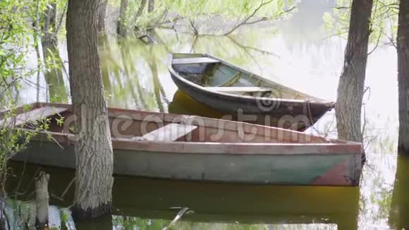 湖上的木船在树间空荡视频的预览图