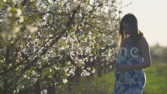 快乐的怀孕女孩穿着漂亮的裙子在阳光明媚的春天公园里散步日落视频的预览图