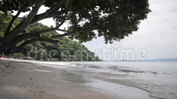 在平静的海浪背景下绑在沙滩上一棵树上的秋千视频的预览图