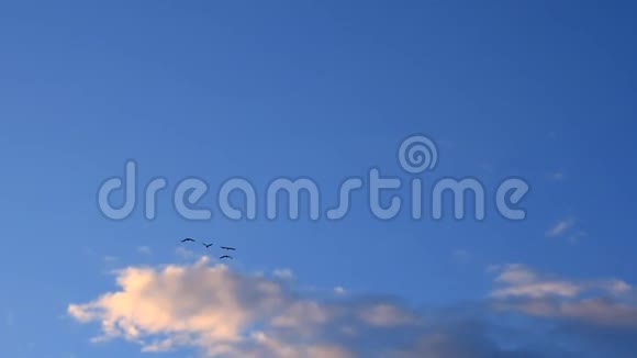 鸟儿在日落时高高地飞在天空视频的预览图