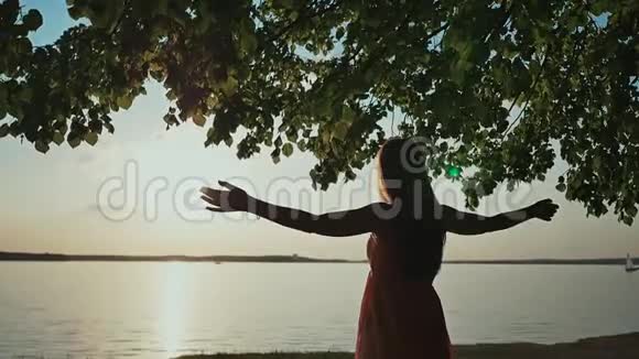 一个年轻的女孩喜欢日落举手站在湖岸上视频的预览图