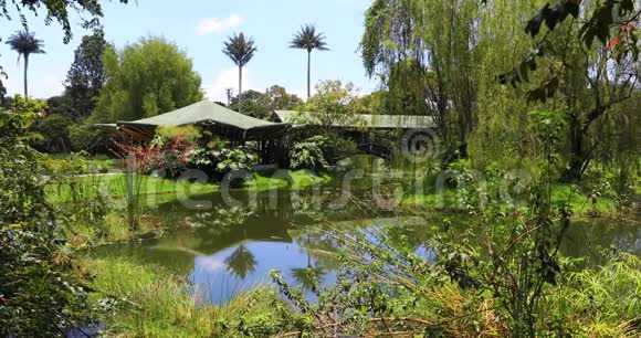 植物园中的波哥大池塘与自然视频的预览图