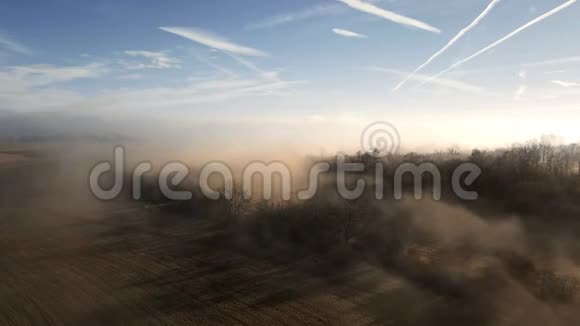 空中雾蒙蒙的晨景阳光雾中的树视频的预览图