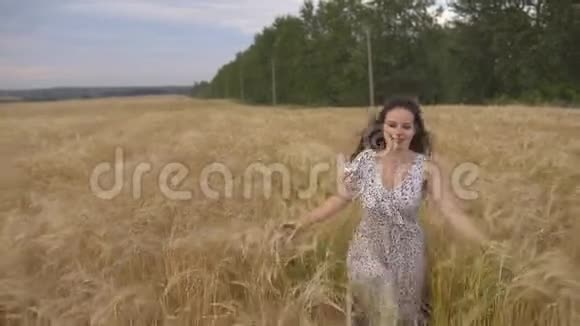 年轻漂亮的女人穿着裙子在田野里奔跑在金色草地上微笑的女孩视频的预览图