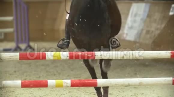 骑着黑马的年轻骑手在表演跳跃比赛中视频的预览图