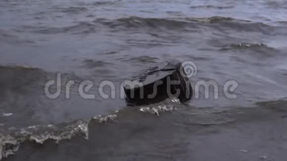 波浪冲刷水库岸边的老树桩视频的预览图