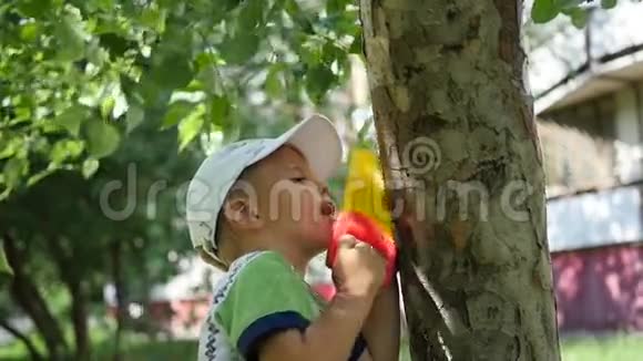 一个孩子站在一棵树附近的公园里户外运动会视频的预览图
