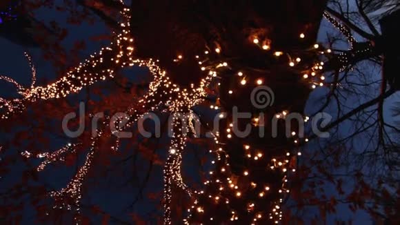 夜晚的仙女灯火视频的预览图