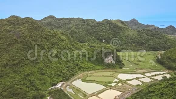 无人机显示大山之间有广阔的稻田视频的预览图