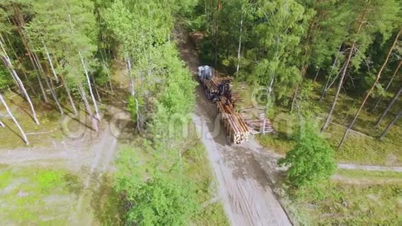 砍伐森林液压装载机叉车将原木装载到拖车上在森林里把木材或木材装进卡车视频的预览图