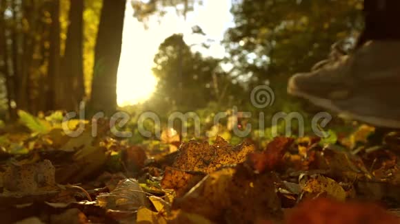 在阳光充足的森林里落在秋天落叶上的注意力不集中的女孩阳光灿烂超级慢动作背景射击视频的预览图