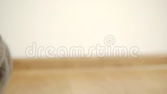 灰猫俄罗斯蓝色品种坐在棕色地板的层叠镶木视频的预览图