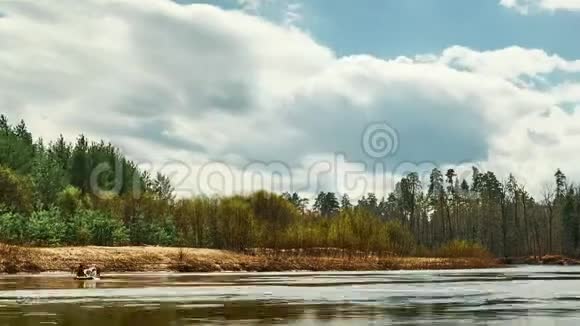 美丽的野生动物景观河流在森林的中央时间跨度视频的预览图