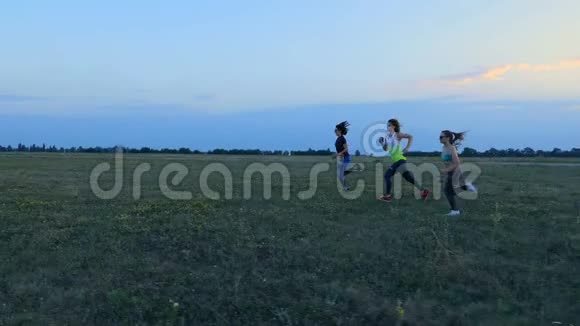 美丽的运动的年轻的女人戴着太阳镜穿着紧身衣沿着绿色的草地田野同步奔跑在夏天视频的预览图