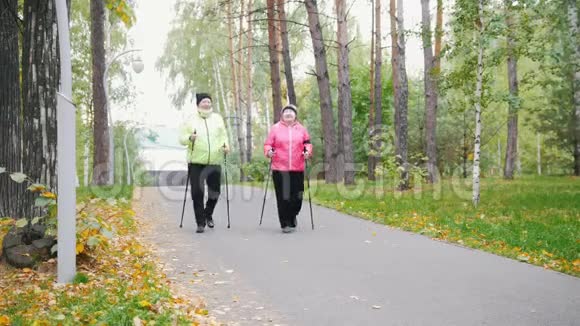 两位老年妇女正在公园里散步秋天视频的预览图