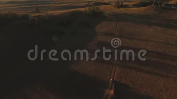 空中观景竞技四方自行车赛车手在阿尔泰4k沙丘上行驶时踢沙子和灰尘视频的预览图