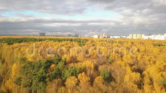 秋天森林背景下的城市视频的预览图