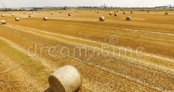 在乡间用一捆干草拍摄麦田的空中景色高速公路的景观在一个视频的预览图